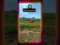 هربات ليه تراكتور هههه الفلاحة الحرث فلاح المغرب تراكتورسازي 