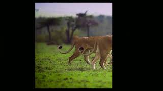 Compressing a video without quality loss! screenshot 4