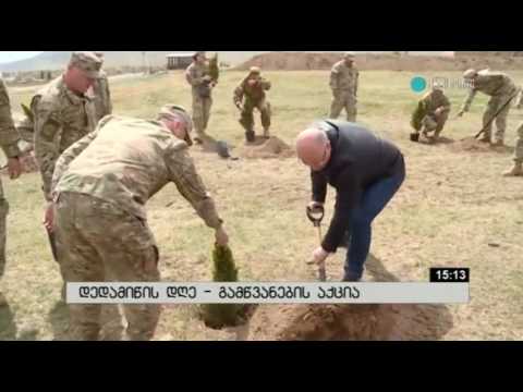 მაესტრო 15:13