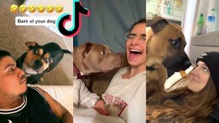 Bark At Your Dog Challenge | Funny Dog Video - Try Not To Laugh  | TikTok Compilation by Miyu Animals 🐶 3,778 views 2 years ago 5 minutes, 27 seconds