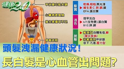 头发泄漏健康状况?! 长白发是心血管出问题? 健康2.0 - 天天要闻