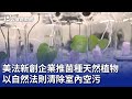 美法新創企業推菌種天然植物 以自然法則清除室內空污｜20240603 公視晚間新聞