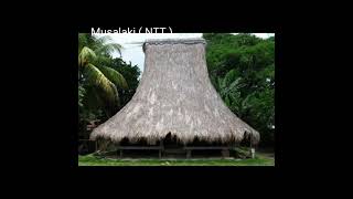 10 RUMAH ADAT DI INDONESIA