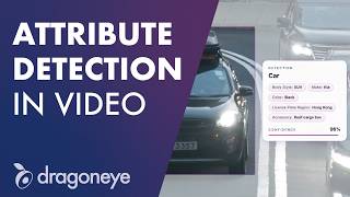 Introducing Attribute Detection and AI Model Builder