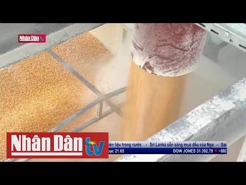 Video Nỗ lực mở 