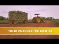 Planta de Poscosecha de Piña en Costa Rica- TvAgro por Juan Gonzalo Angel Restrepo