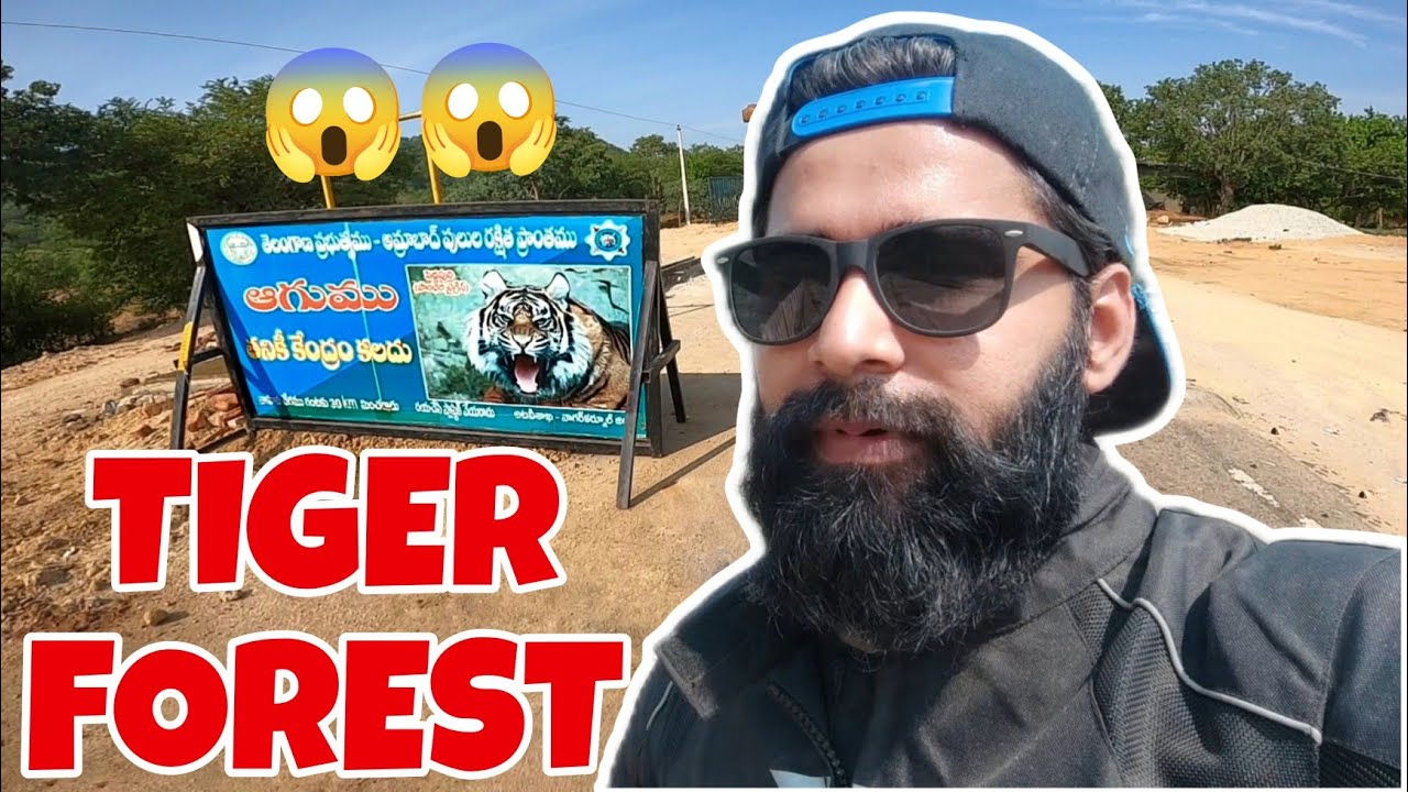 Tiger Forest Se Jana Pada Mallikarjun Jyotirling Ke Darshan Karne 🐯🐯
