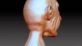 Old Man Zbrush Sculpture - WIP