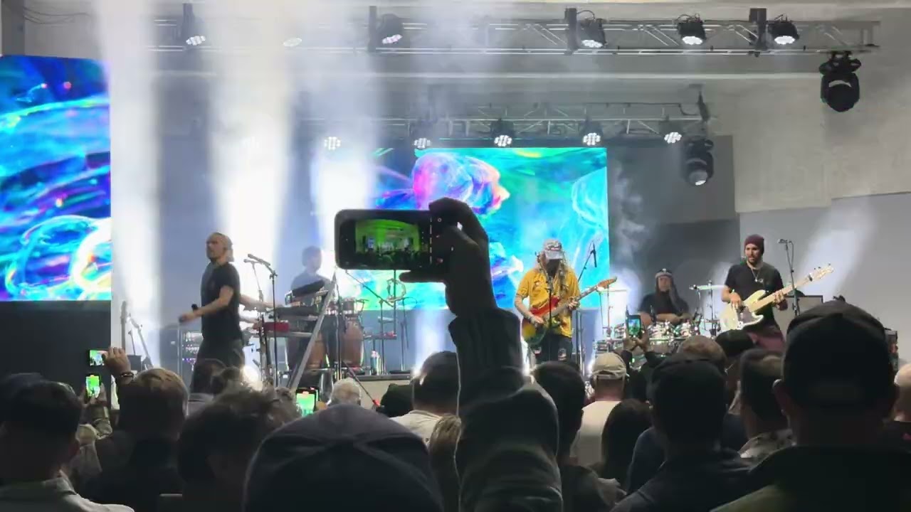 The Movement cover Under Mi Sensi (by Barrington Levy) Jan 31 2024 The Bandshell Miami Beach FL