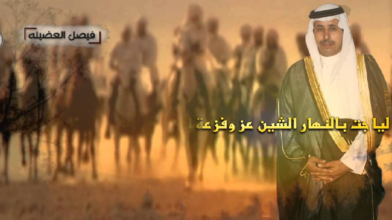 صوت مطير ثامر عبدالله قصيده مهداء للامير مشعل بن بدر بن هايف الفغم كلمات راضي ذويبان