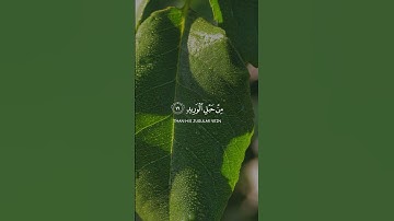 أرح قلبك و سمعك  #راحة_نفسية #قرآن #الله #لايك #اكسبلور #تلاوة_خاشعة #قران_كريم #دويتو #coran #like