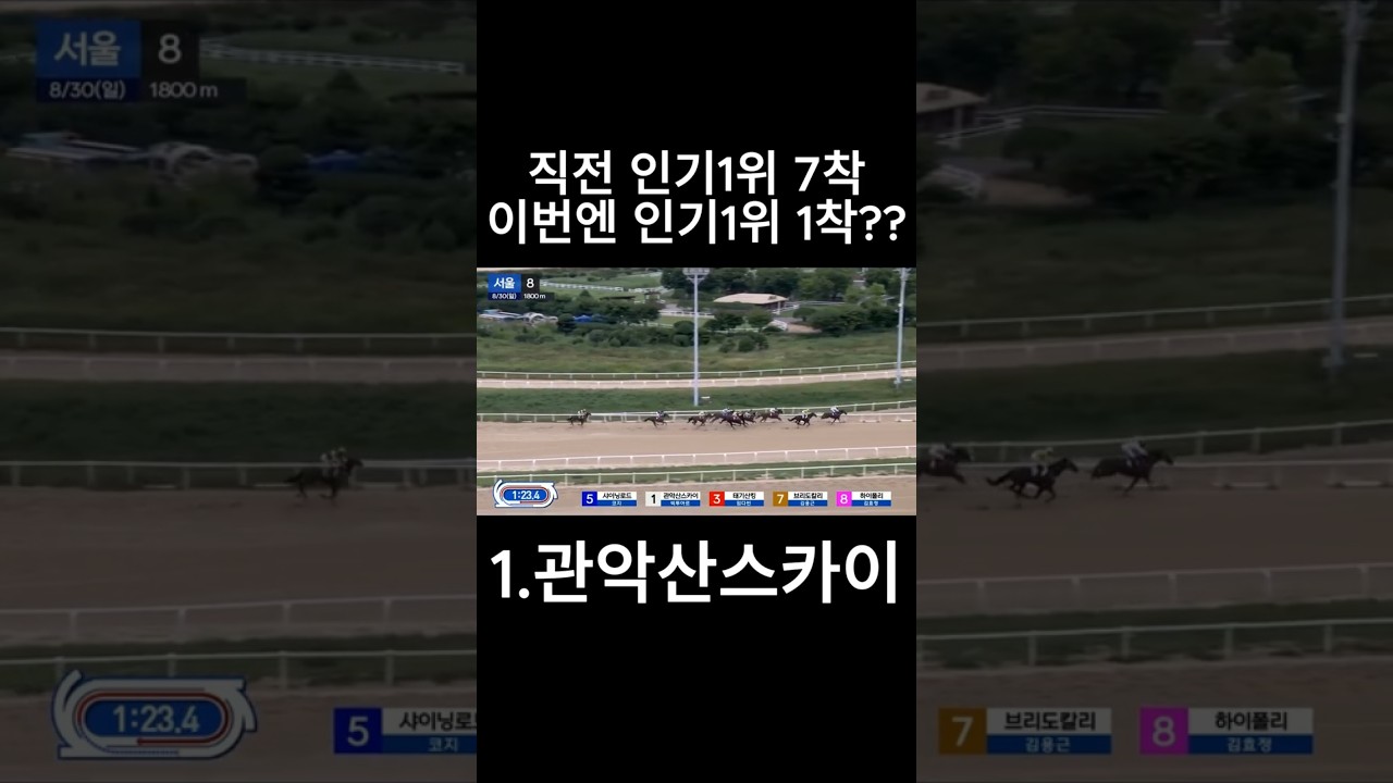 직전인기1위 7착 이번엔  #경마  #경마예상  #경마방송  #경마예상방송  #서울경마  #금요경마  #토요경마  #일요경마 #경마장
