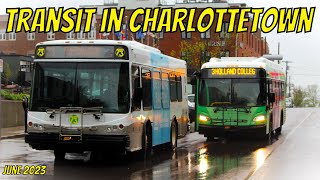 Transit in Charlottetown (June 2023)