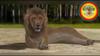 Lion vs tiger which is powerful screenshot 1