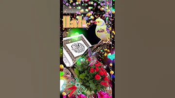 هو النبي الحاشر 