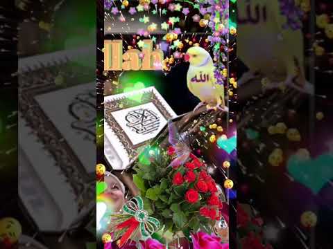 هو النبي الحاشر 