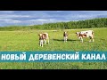 Новый семейный Деревенский канал - задумали переезд из города в деревню