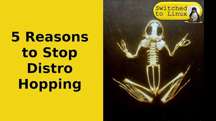 Stop the Hop | Five Reasons to Stop Distro Hopping