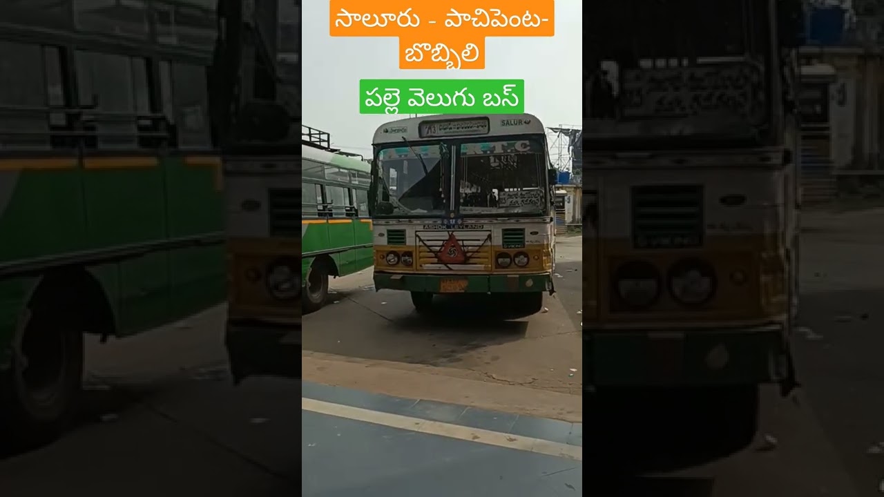 Apsrtc salur to bobbili via pachipenta pallevelugu bus