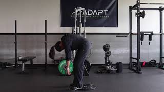 Standing Segmental Flexion