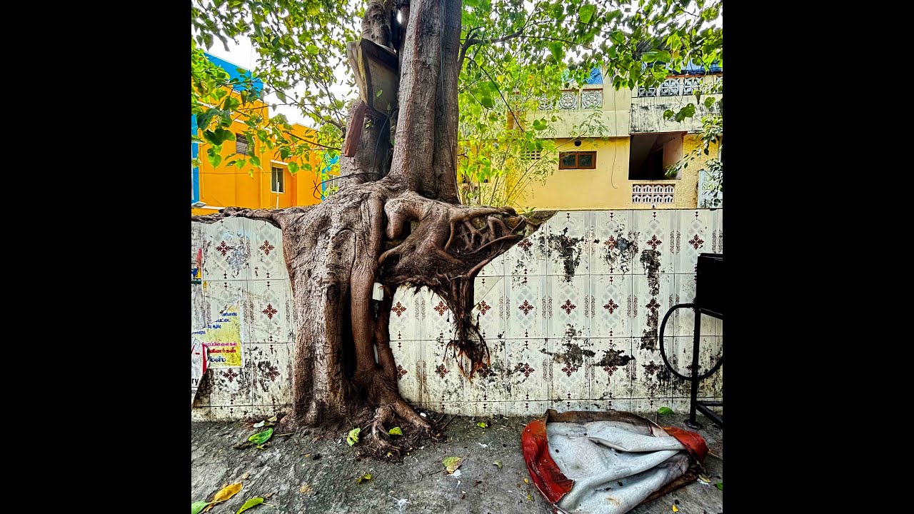 Art, Mysticism and Lectio Divina: Gateways into Non-Ordinary Reality