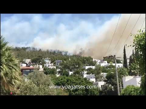 Bodrum merkezde  bir yangın daha çıktı