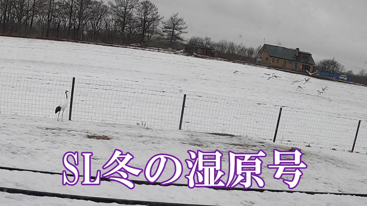 SL冬の湿原号VOL2