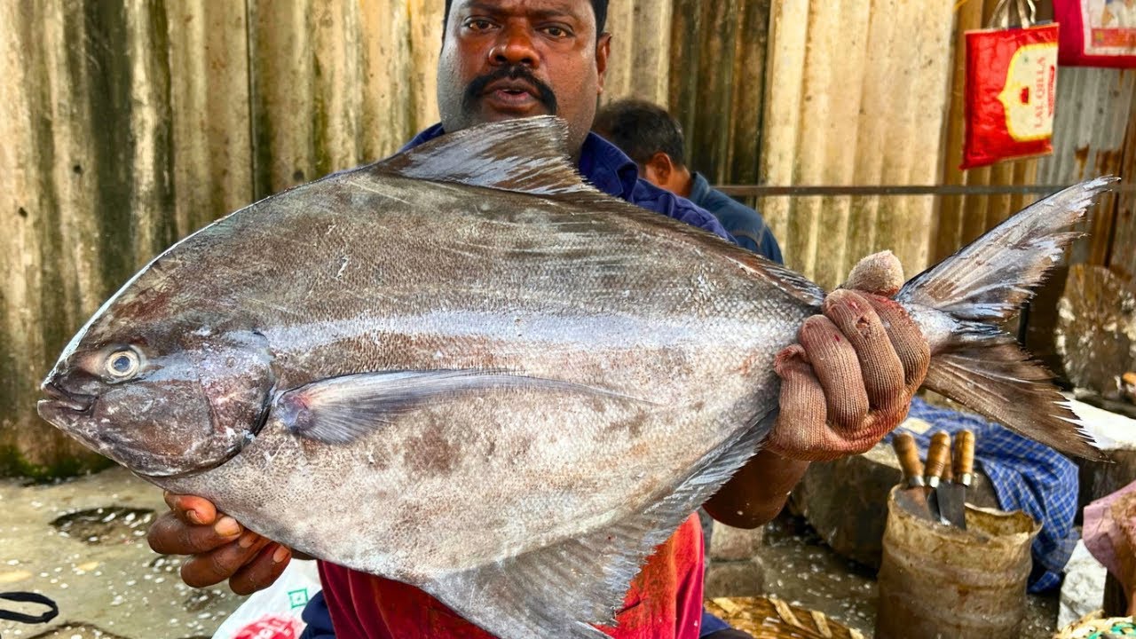 KASIMEDU 🔥 SPEED SELVAM | BIG BLACK POMFRET FISH CUTTING VIDEO | FF CUTTING 🔪
