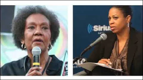Dr. Frances Cress Welsing Drops Gems On Race (Part...