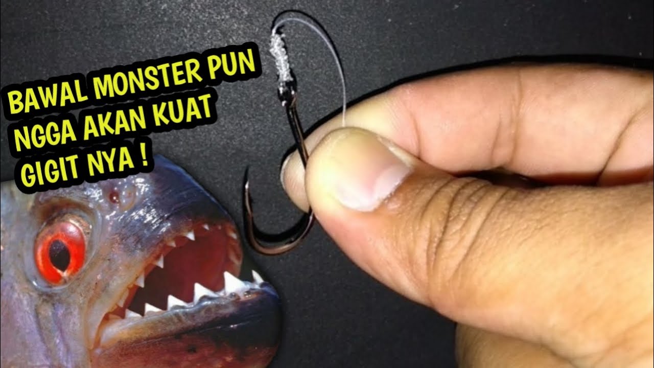 BAWAL BABON PUN NGGA AKAN KUAT GIGIT SENAR SEKECIL INI😱