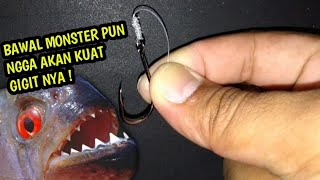 Download Lagu BAWAL BABON PUN NGGA AKAN KUAT GIGIT SENAR SEKECIL INI😱 MP3