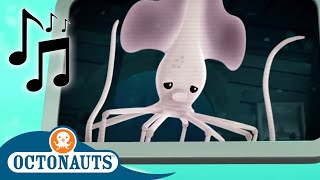 Octonauts - Long-Arm Squid and Others | Cartoons for Kids | Creature Reports