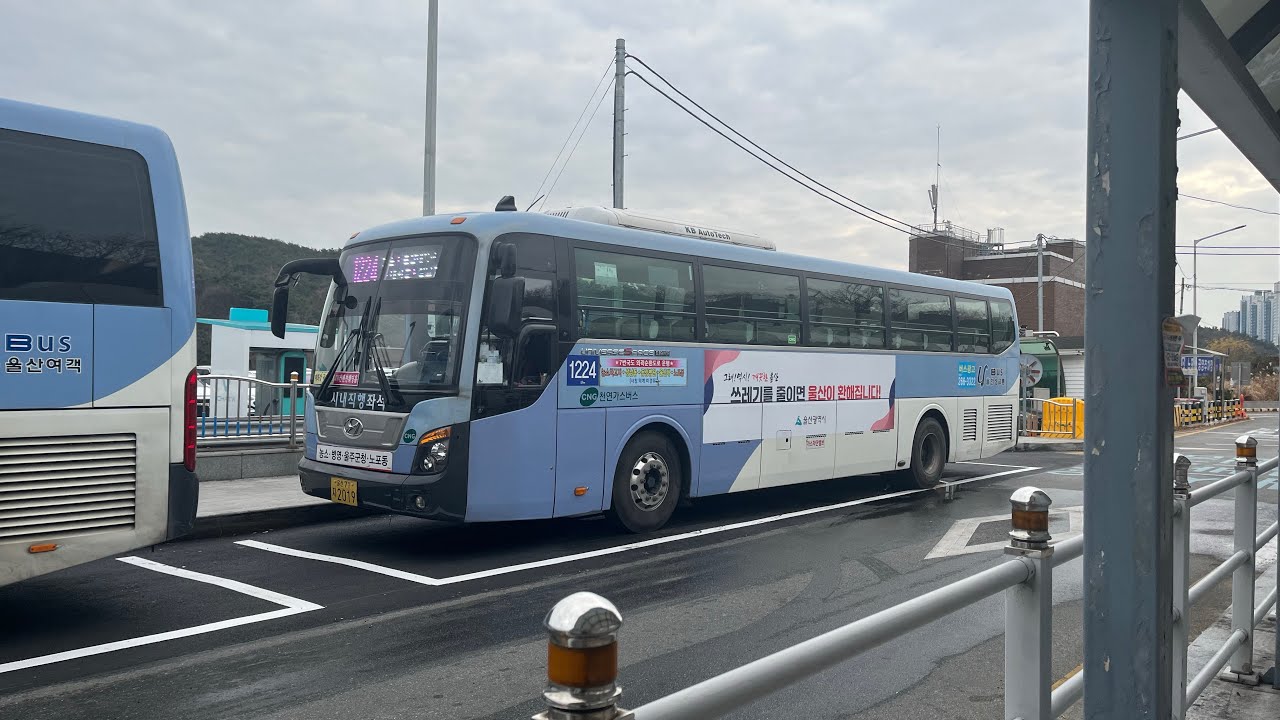 [고별주행] 울산 1224번 통신사로 전구간 주행
