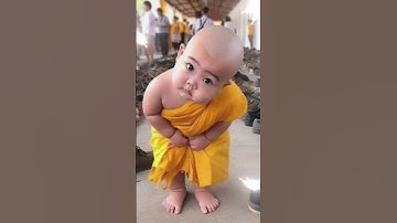 Thumbnail of little monk so cute baby 2 #littlemonk #shorts #short #trending #viral #youtubeshorts