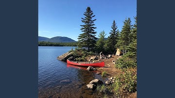 Canine Reflections (Dog Prog)