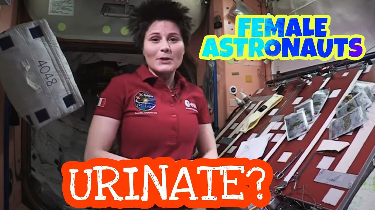 How do female astronautas urinate in space? |Space Potty