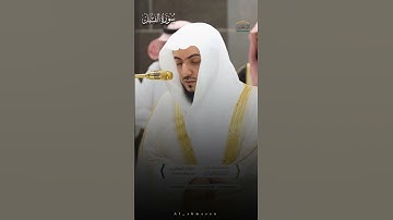#الوليد_الشمسان  سورة الفيل