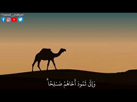 والى ثمود اخاهم صالحا قال ياقوم اعبدوا الله سورة الأعراف الآيه 73 القارئ مشاري العفاسي