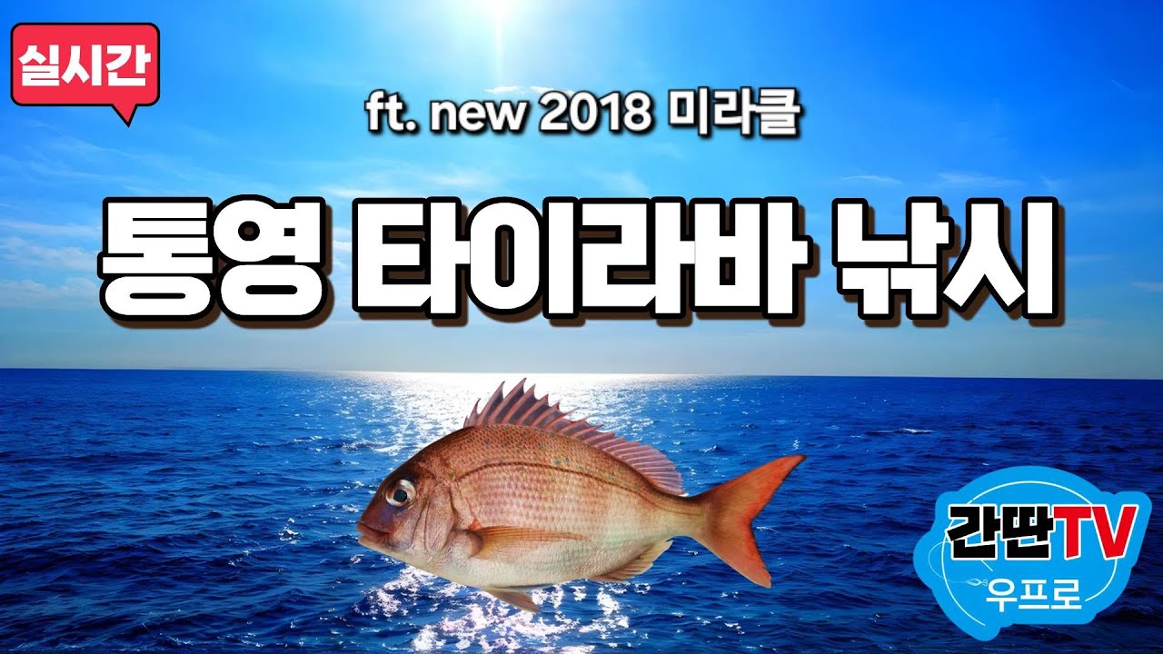 Live) 통영 타이라비 낚시!!  (ft. NEW2018미라클)