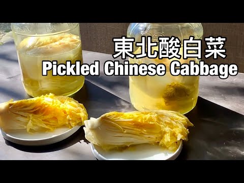 東北酸白菜｜不需汆燙、生水就能醃製，看到賺到Pickled Chinese Cabbage ｜字幕Eng Sub