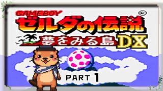 【姫プ系配信者】ゼルダの伝説 夢を見る島DX【アドバイス求む！】
