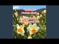 Calikusu Turkish Music Calikusu Turkish Music