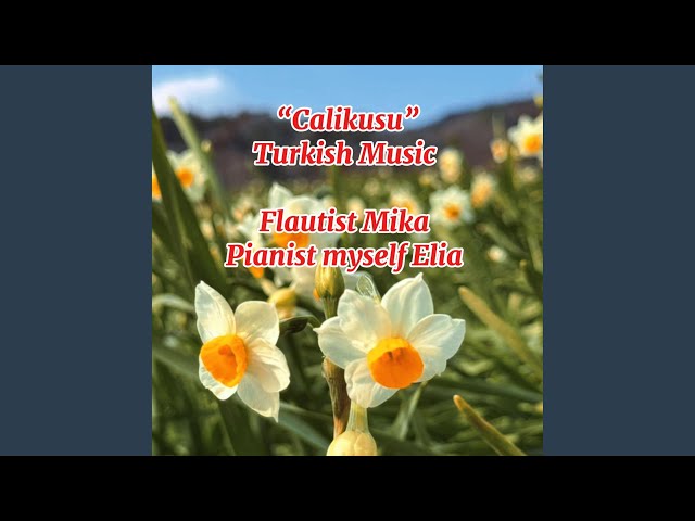 Calikusu Turkish Music