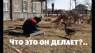 Сварщик из Питера привёз мне жену с подарком!