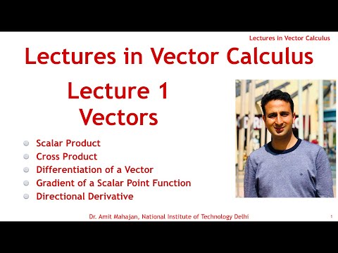 Vectors | Scalar