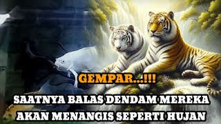 Download Lagu JIWA TERPILIH _ SAATNYA BALAS DENDAM MEREKA AKAN MENANGIS SEUMUR HIDUP  MP3 Download Lagu JIWA TERPILIH _ SAATNYA BALAS DENDAM MEREKA AKAN MENANGIS SEUMUR HIDUP  MP3