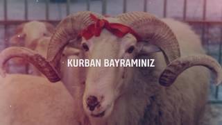 Kurban Bayramı Videosu - Paylaşabilirsiniz