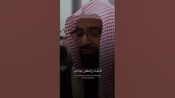 تلاوة خاشعة باكية الشيخ ناصر القطامي