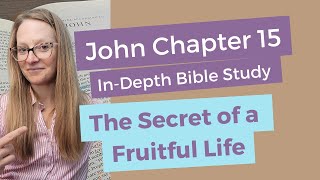 JOHN 15 Bible Study Lesson Verse by Verse