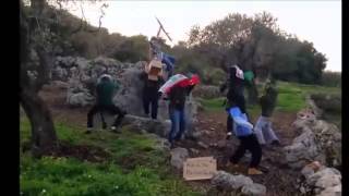 Harlem Shake Syrian Style